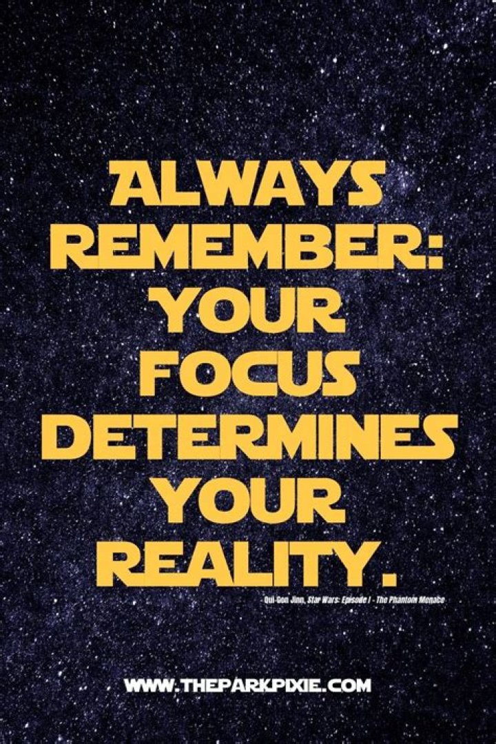 130+ Best Star Wars Quotes to Share on Social Media &bull; The Park Pixie