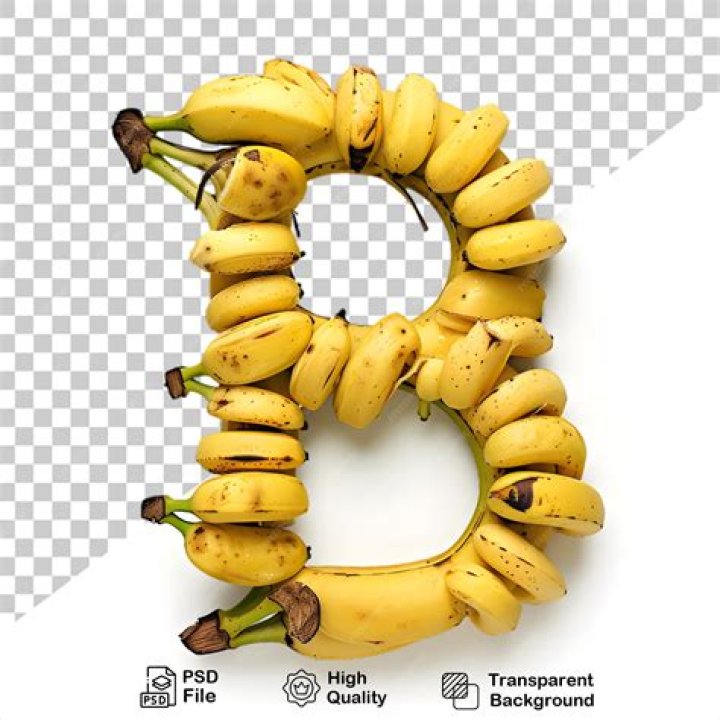 A Letter From the Bananas Owners The Savannah Bananas