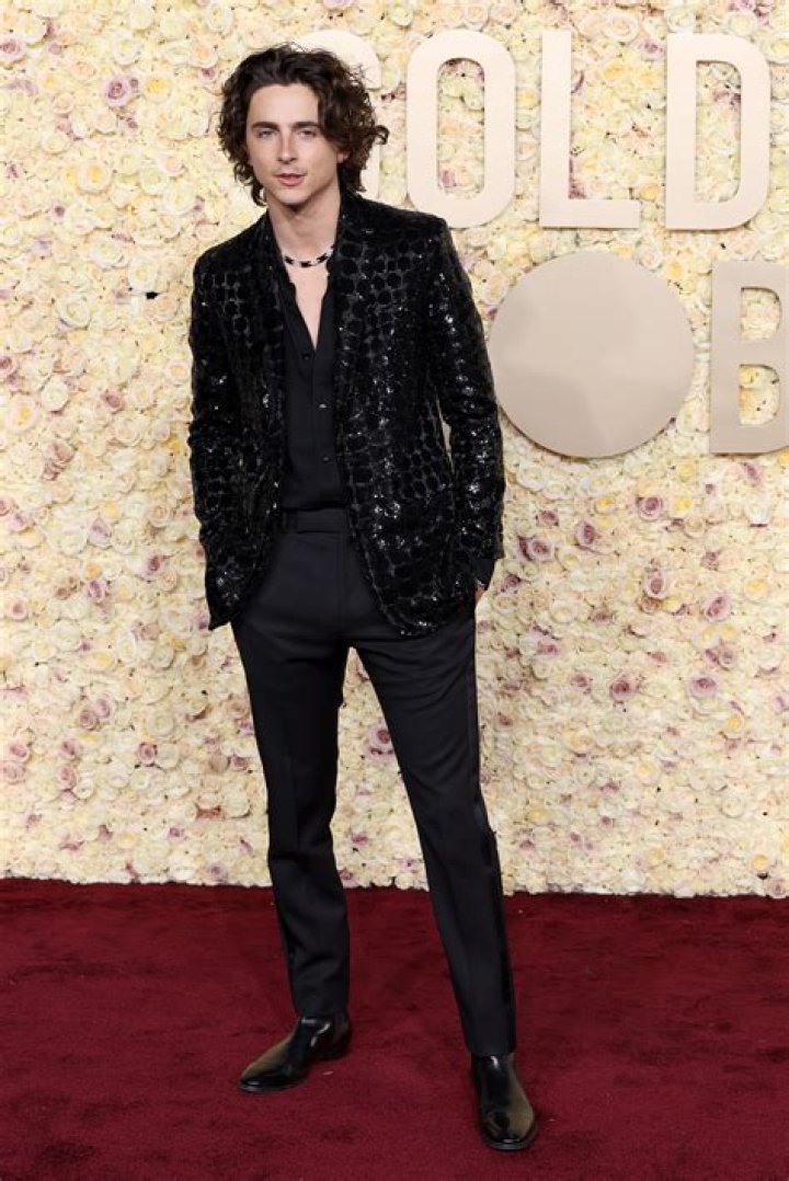 All About Timoth&eacute;e Chalamet's Parents, Marc Chalamet and Nicole Flender