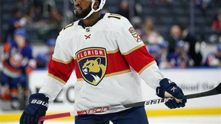 Anthony Duclair Working Way Back Into Florida Panthers Lineup
