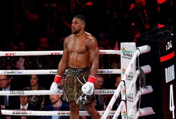 Anthony Joshua's exgirlfriend Who is Nicole Osbourne? Age, profession