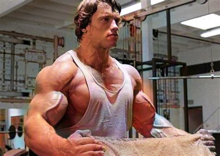 Arnold Schwarzenegger AvaisAzenate