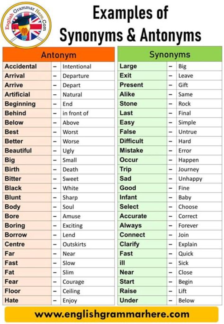 Basic Synonyms and Antonyms Vocabulary English PDF Docs. Learn