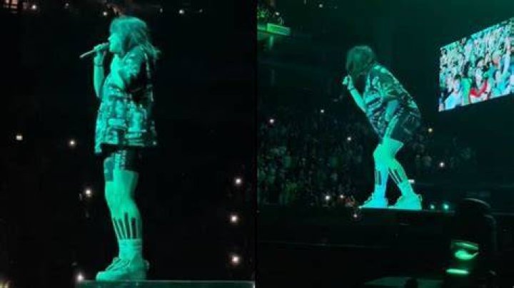Billie Eilish Forced To Pause London Concert After Fans Suffer In H...