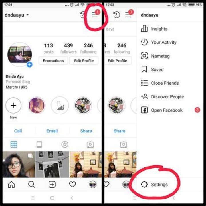 Cara save foto profil ig
