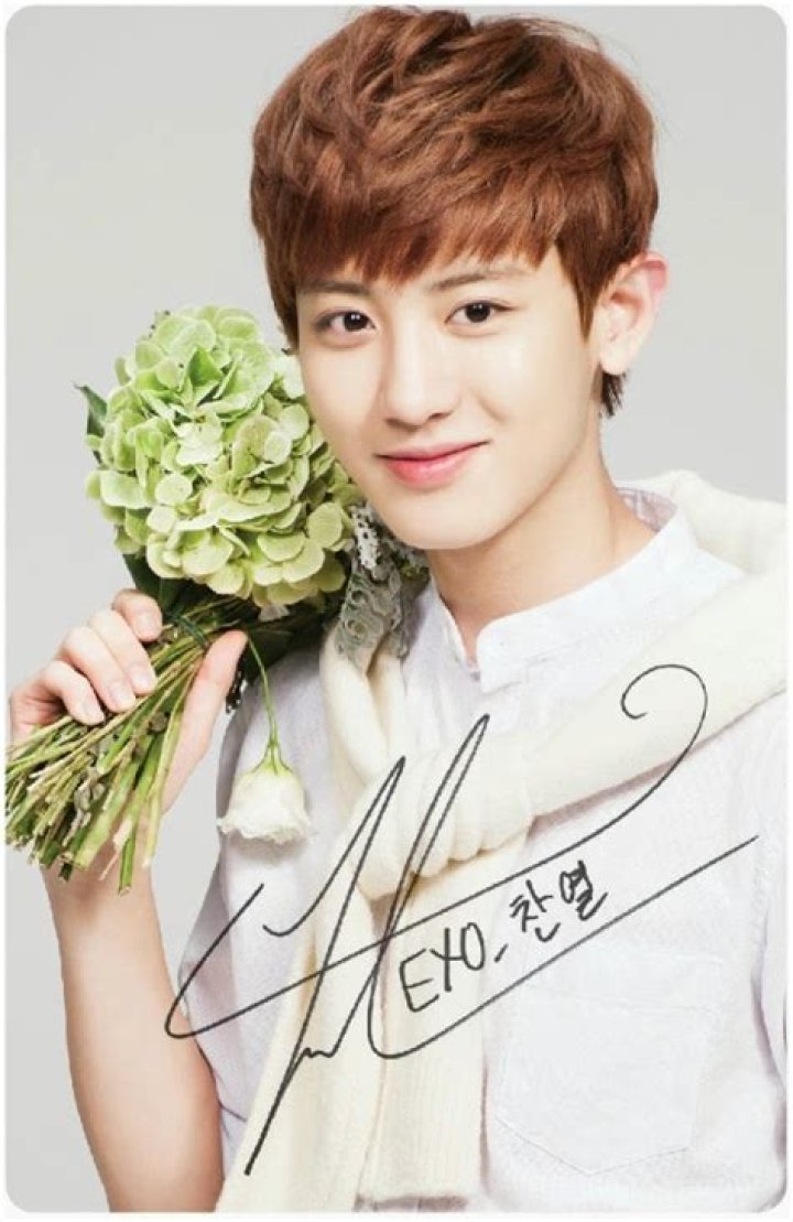 Chanyeol EXO Profil, Biodata dan Fakta Lengkap Chanyeol EXO Berita Kpop