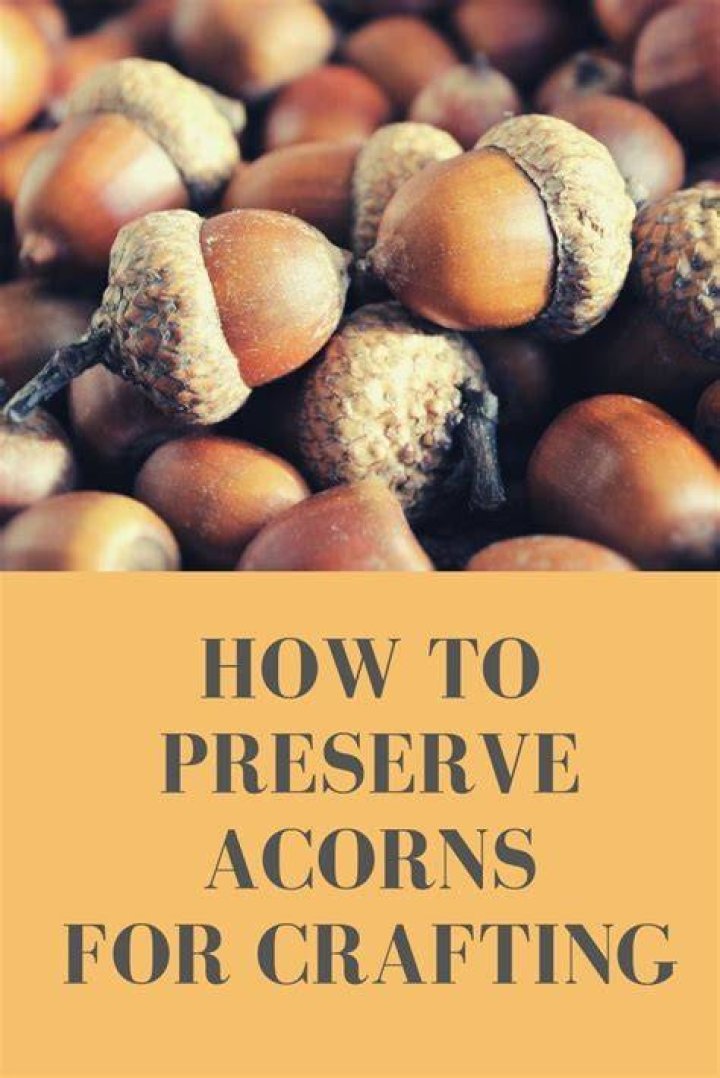 Decorating and preserving acorns for fall decor (Easy Tutorial)