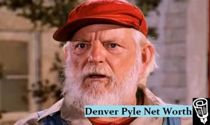Denver Pyle Net Worth 2020 Update Short bio, age, height, weight