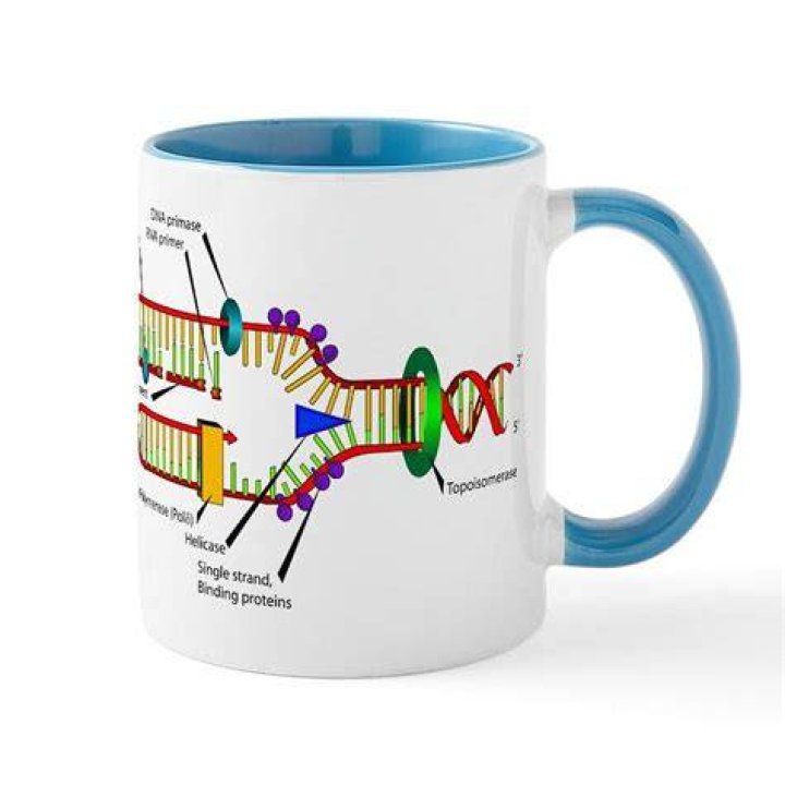 DNA on a coffee cup leads to arrest in 1975 murder