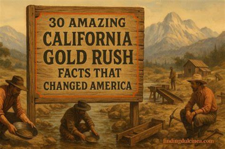 GOLD RUSH What Happened to Dakota Fred?
