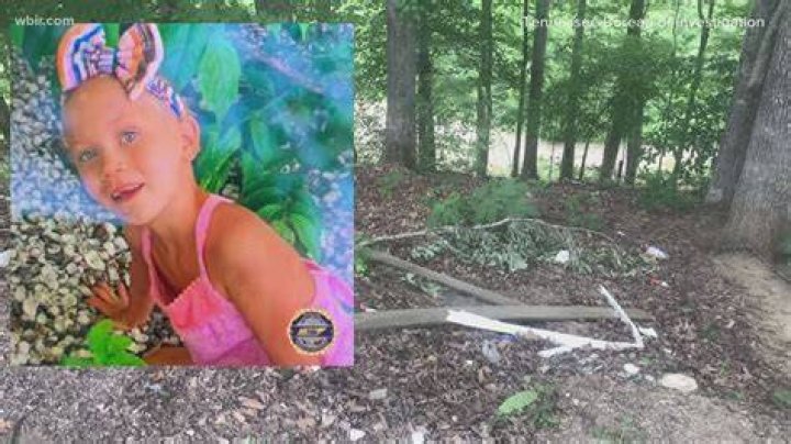 Has Summer Wells Been Found Dead? Discover The Mystery of The