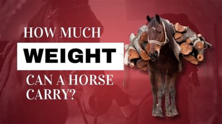 How Much Weight Can an ATV Carry? (Cargo and Rider)