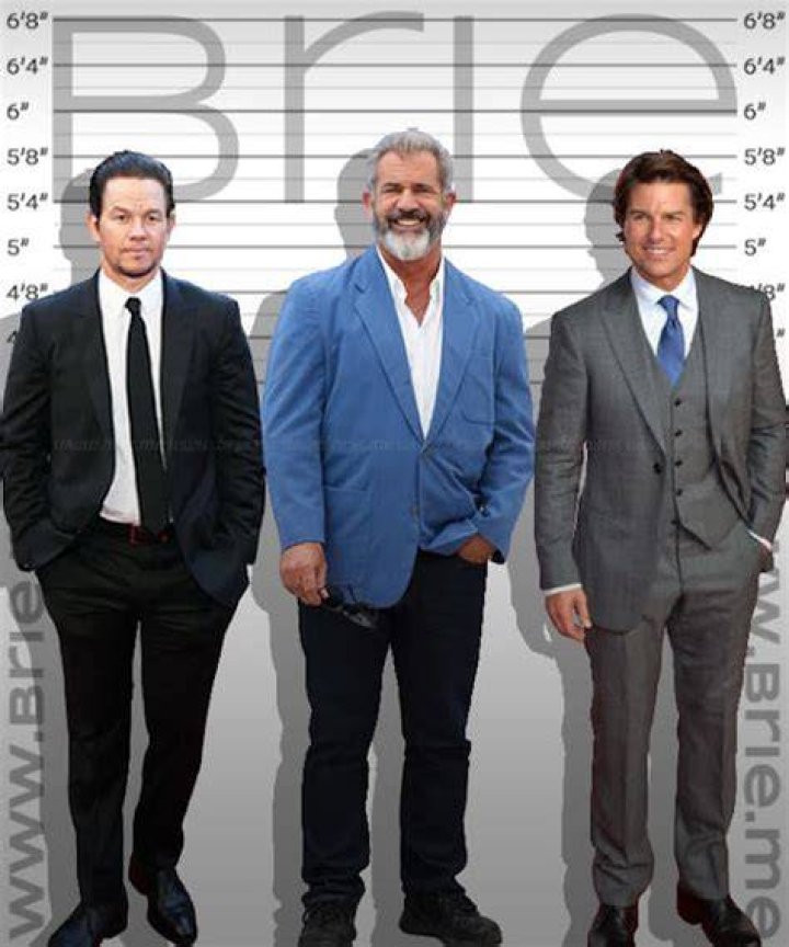 How tall is Mel Gibson? Mel Gibson Height, Age, Weight and Much More