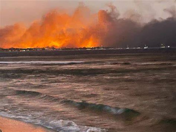 How the Hawaii fires will take a toll on the state&rsquo;s natural treasures