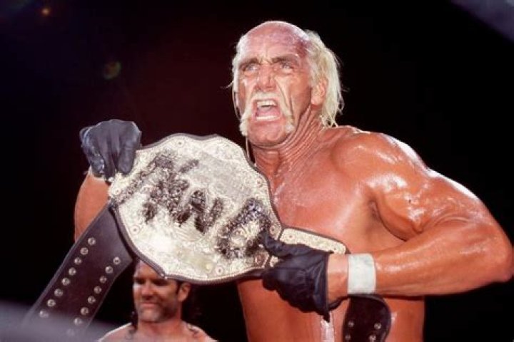 Hulk Hogan talks maybe doing something with the Bullet Club Cageside