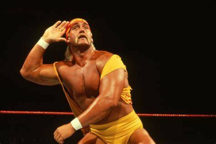 Hulk Hogan's Massive Size Makes NFL Linemen Look Like Little Kids FanBuzz