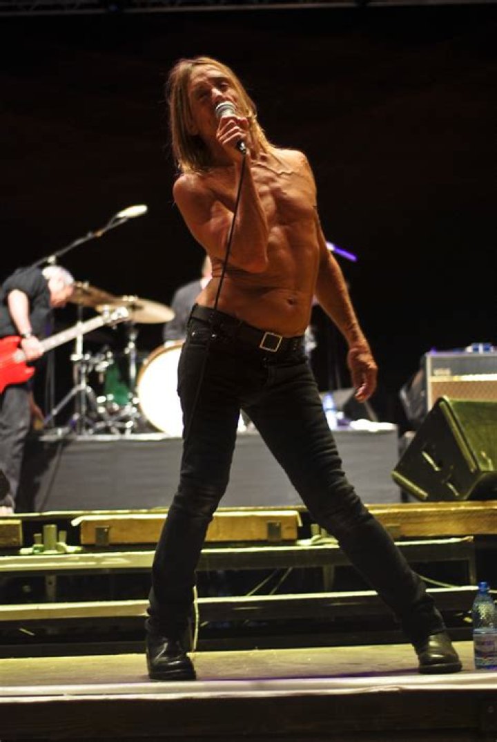 Iggy Pop Everything You Need to Know [REVEALED]