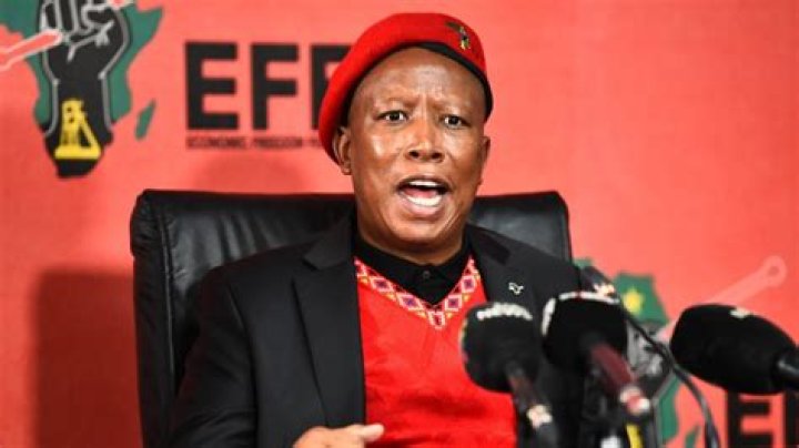 Julius Malema challenges Ramaphosa to recall the army from unrest hotspots