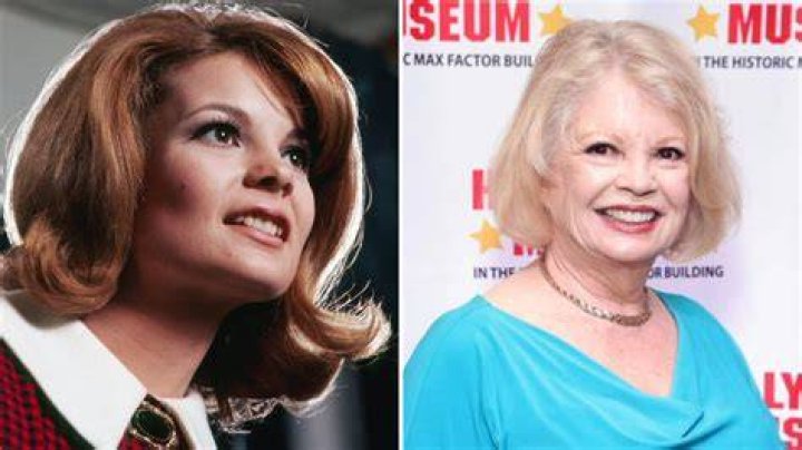 Kathy Garver's Son Reid Garver Travis Is A Businessman; What's He Do?