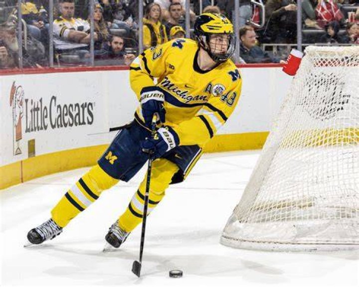 Luke Hughes, Former No. 4 Overall Pick, to Join Devils After Michigan's