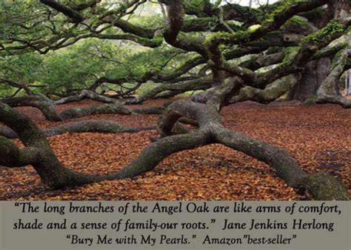 Madeas Quotes About Trees. QuotesGram