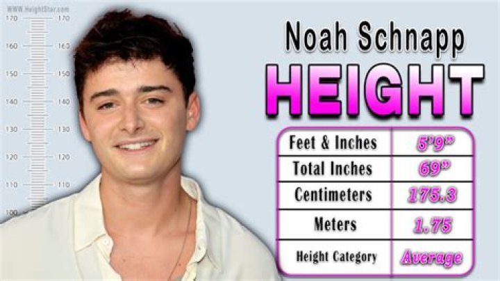 Noah Schnapp height How Tall Is Noah Schnapp?