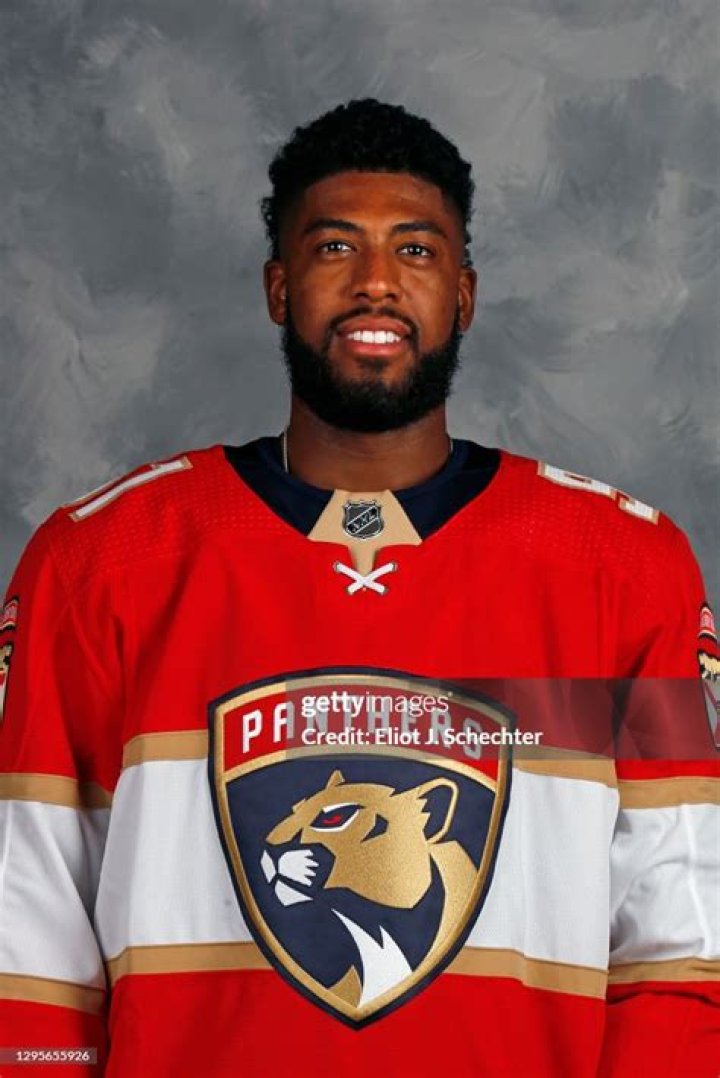 Panthers Anthony Duclair Wife Is He Married? Relationship Status