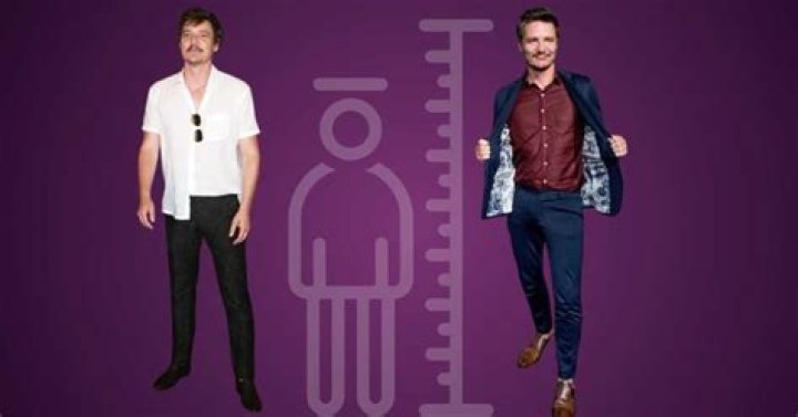 Pedro Pascal Biography, Height, Weight, Age, Movies, Wife, Family