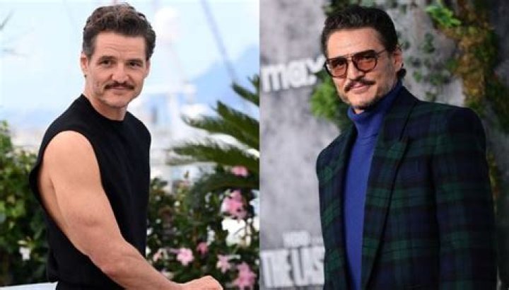 Pedro Pascal Weight Loss Journey Before And After Photos