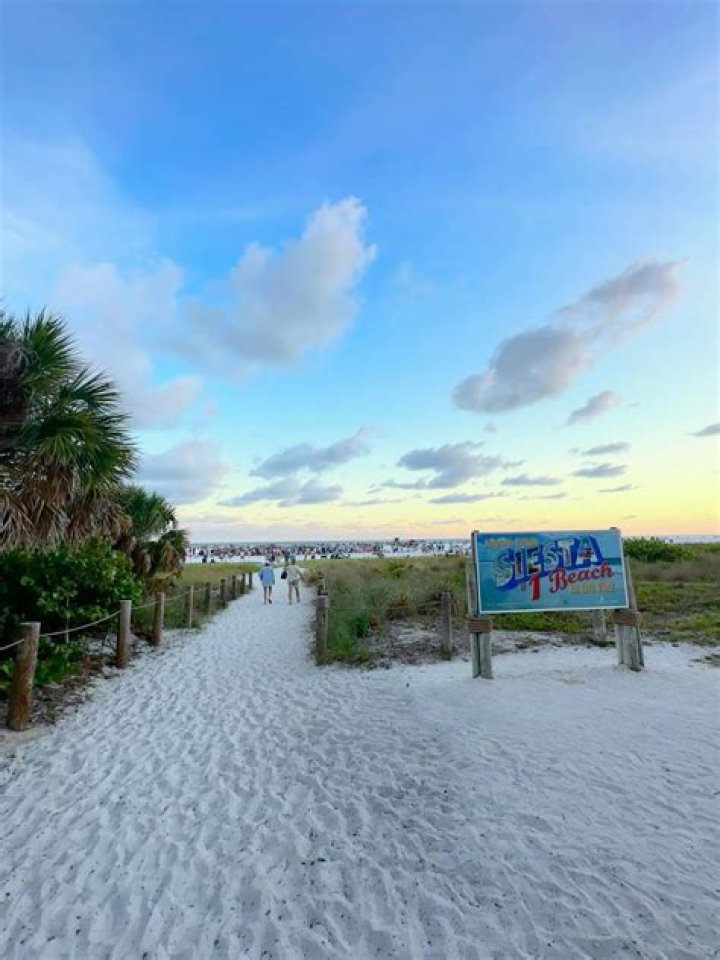 Siesta Key Clip Teases the Fallout from Juliette Porter, Sam Logan Split