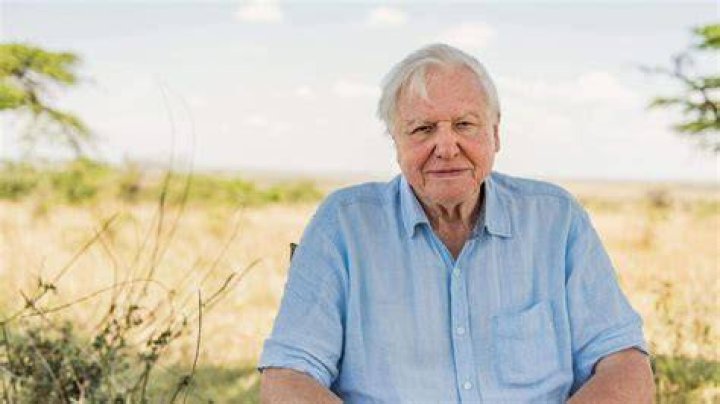 Sir David Attenborough warns Covid19 is environmental threat because