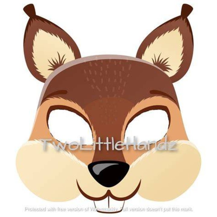 Squirrel Mask