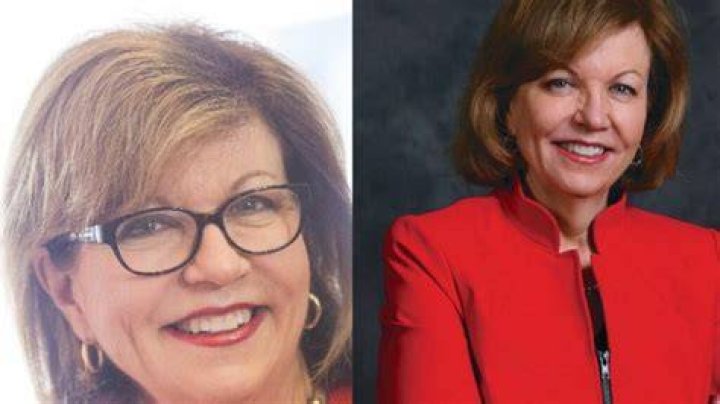 Susan Page Plastic Surgery Before And After Transformation