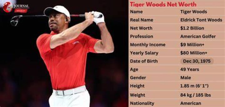 Tiger Woods Net Worth (Updated January 2024) Age, Bio, Wiki...