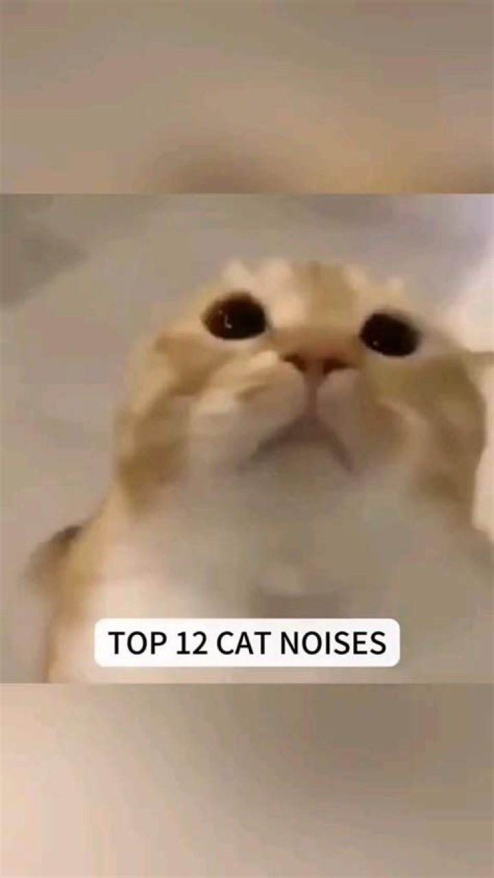 Top 142 + Funny noises for babies
