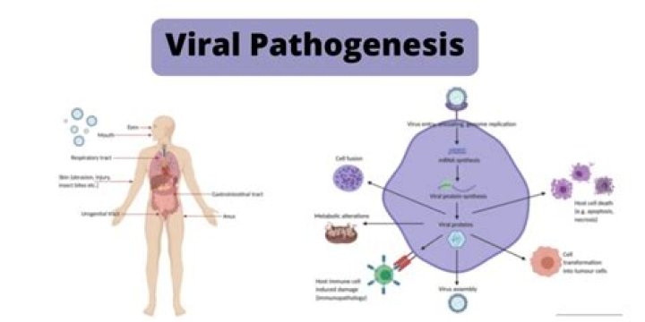 Viral