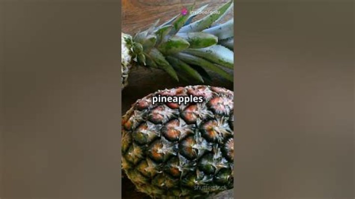 Why Are Pineapples Called Pineapples? (Explained)
