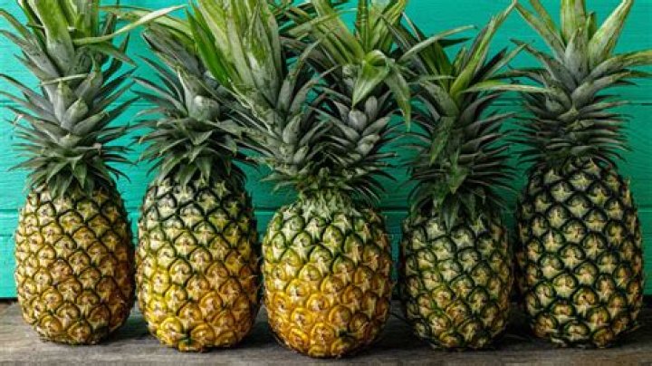 Why is a pineapple called a pineapple? LogicGoat