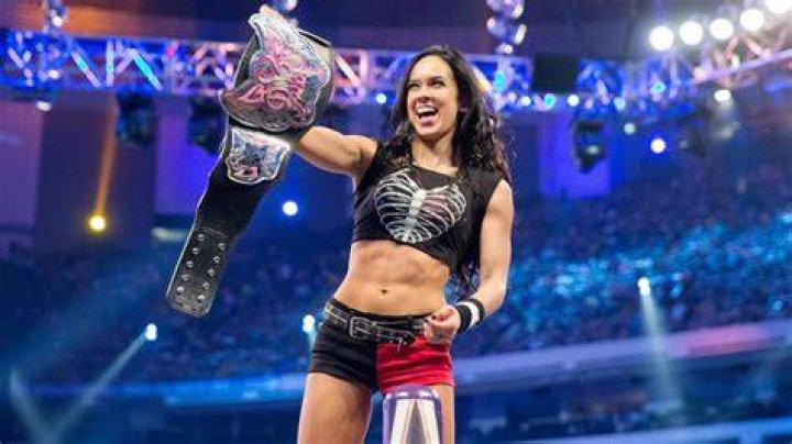 WWE Diva AJ Lee (April Mendez Brooks) and her husband CM Punk (Phil